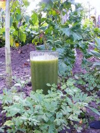 How To Make A Healthy Smoothie With Karin Ridgers