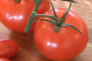 How to freeze tomatoes with Karin Ridgers