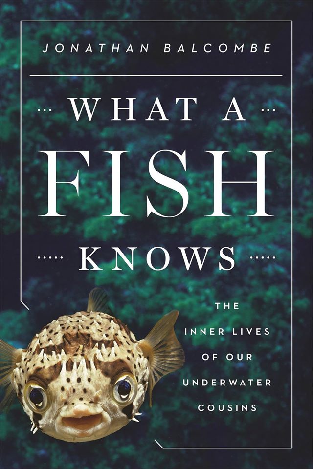What a Fish Knows