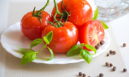 Easy Vegan Fresh Tomato Dip