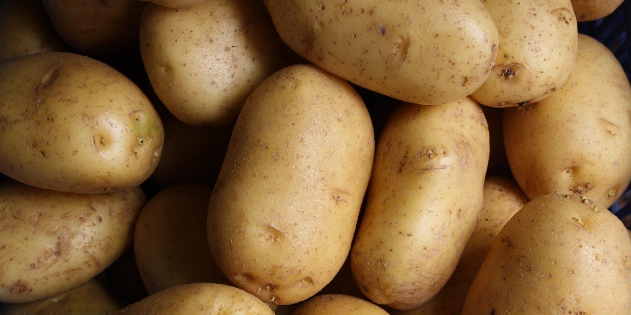 Easy Vegan Garlic Potatoes