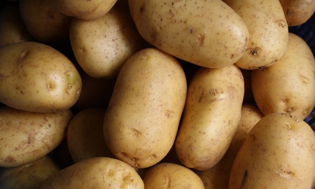 Easy Vegan Garlic Potatoes