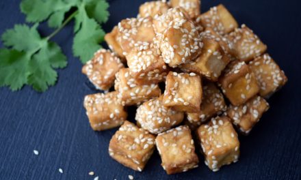 Using Tofu, Seitan, TVP and Tempeh in Vegan Diets