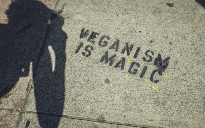The Biggest Misconceptions About Vegan Lifestyles, Revealed!